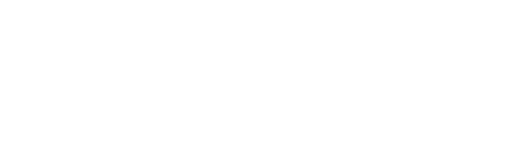 parciva white logo